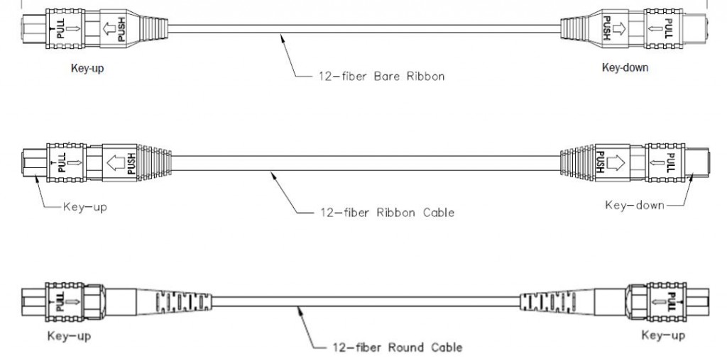 trunk drawing