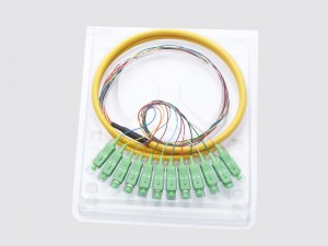 SC APC 12 core