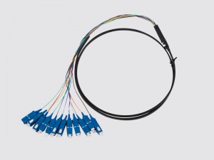 12 core Fan-out pigtail