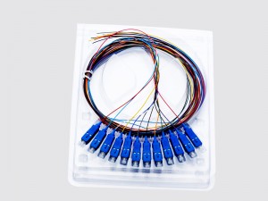 SC 12 core pigtail
